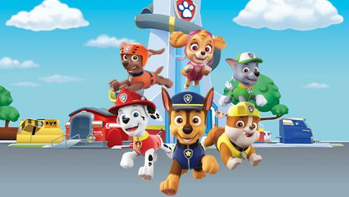 Paw Patrol S06 B01